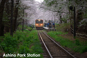 somoriyama_jul_2015_13lr