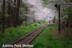somoriyama_sep_2013_11lr