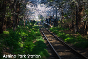 sshiroishigawa_apr_2012_08lr