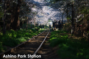 skitakami_may_2011_11lr