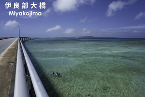 somoriyama_sep_2013_11lr