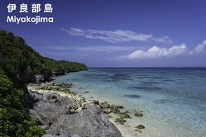 somoriyama_jan_2013_05lr