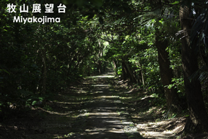 somoriyama_jul_2015_10lr