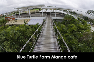 somoriyama_sep_2013_11lr