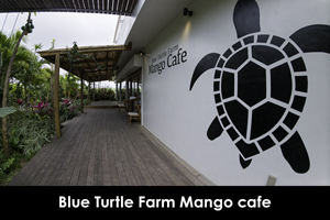 somoriyama_aug_2009_19lr