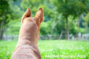 syagiyama_nov_2008_07lr