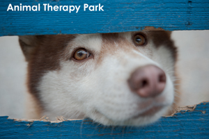 skajyo_oct_2009_16lr