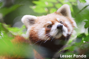 skannonjigawa_jul_2018_04lr