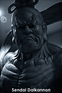 sdaikannon_feb_2008_04lr