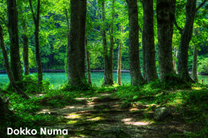 syagiyama_nov_2008_07lr