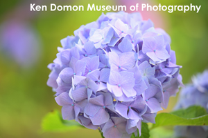 somoriyama_aug_2009_19lr