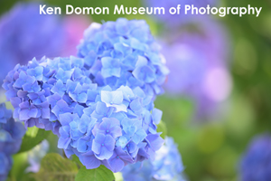 skitakami_may_2011_11lr