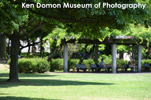 somoriyama_sep_2013_11lr