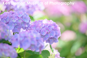 somoriyama_jul_2015_13lr