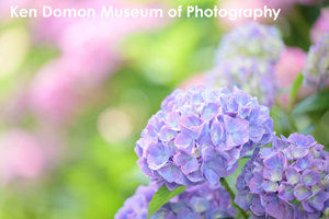 skitakami_may_2011_11lr