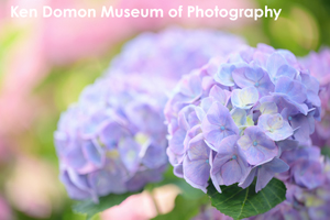 sshiroishigawa_apr_2018_08lr