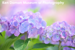 ssendai_nov_2008_06lr