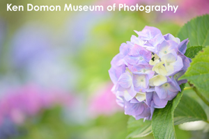 somoriyama_aug_2009_19lr