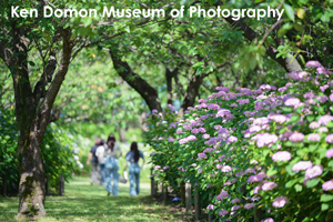 somoriyama_jul_2015_10lr