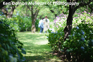 somoriyama_jan_2013_05lr