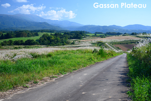 sshiroishigawa_apr_2012_08lr