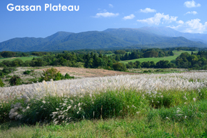 skitakami_may_2011_11lr