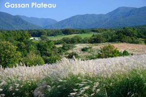 sshiroishigawa_apr_2018_08lr