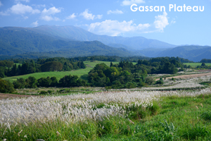 ssendai_nov_2008_06lr