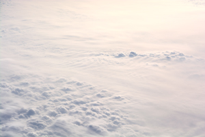 szaofoxvillage_dec_2015_10lr