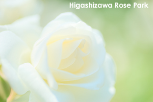 somoriyama_jul_2018_04lr