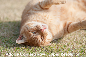 skitakami_may_2011_11lr