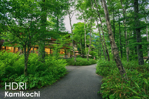 szaofoxvillage_dec_2015_10lr