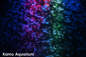 skamo_mar_2020_02@1x