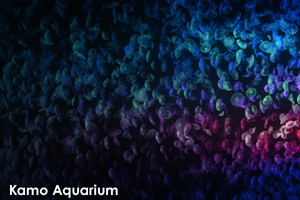 skamo_mar_2020_03@1x