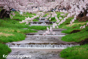 skamo_mar_2020_02@1x