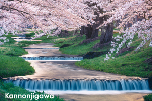 sshiroishigawa_apr_2016_02lr