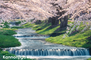 sshiroishigawa_apr_2008_18lr