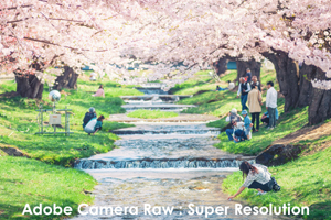 somoriyama_jul_2015_13lr