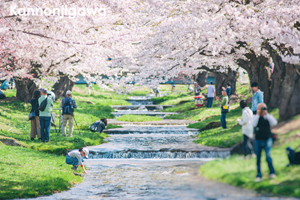 somoriyama_aug_2009_06lr