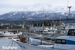 shaneda_jan_2019_01lr