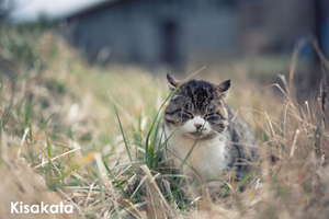 skisakata_mar_2020_06