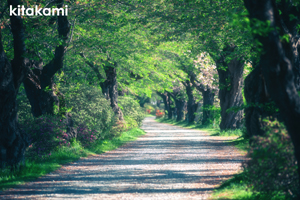 skannonjigawa_jul_2018_04lr