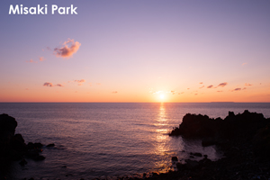 ssendai_dec_2010_03lr