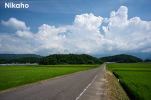 sshiroishigawa_apr_2016_02lr