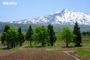 skitakami_may_2011_11lr