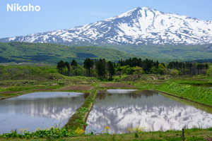 ssendai_nov_2008_06lr