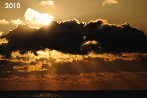 sanimalneeds_nov_2008_03lr