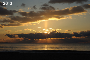 sanimalneeds_jul_2008_07lr