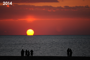 sanimalneeds_nov_2008_03lr