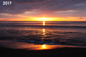 sanimalneeds_jul_2008_07lr